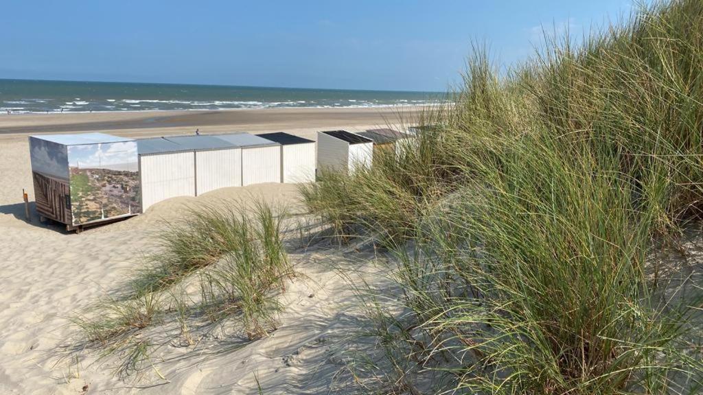 Strandhotel Dennenbos Oostkapelle Eksteriør billede